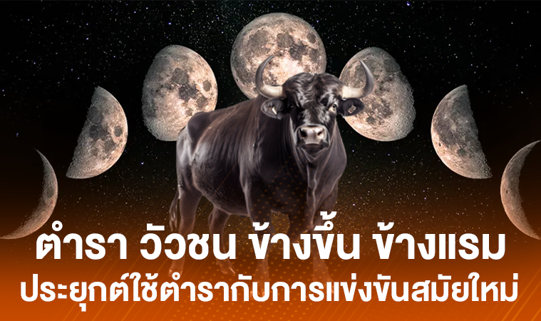 วัวชนสนามเสาธง