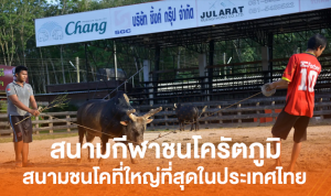 สนามกีฬาชนโคนานาชาติรัตภูมิ